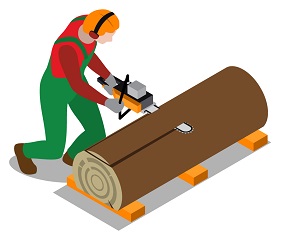 Tree Surgeon